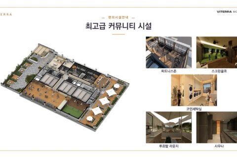 비테라 시그니처